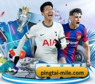 pingtai-mile.com APP 界面